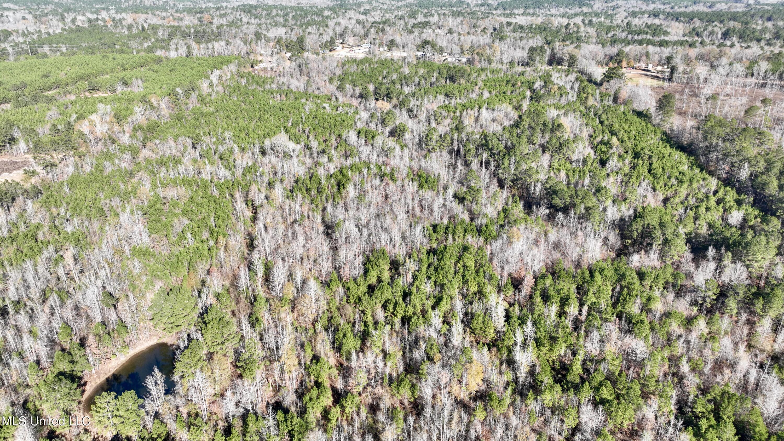 3005 Zetus Road Northwest Brookhaven, MS 39601 - Photo 14 of 21 4B9B105C-18AF-4C88-9A18-87057BA0841B_1_2