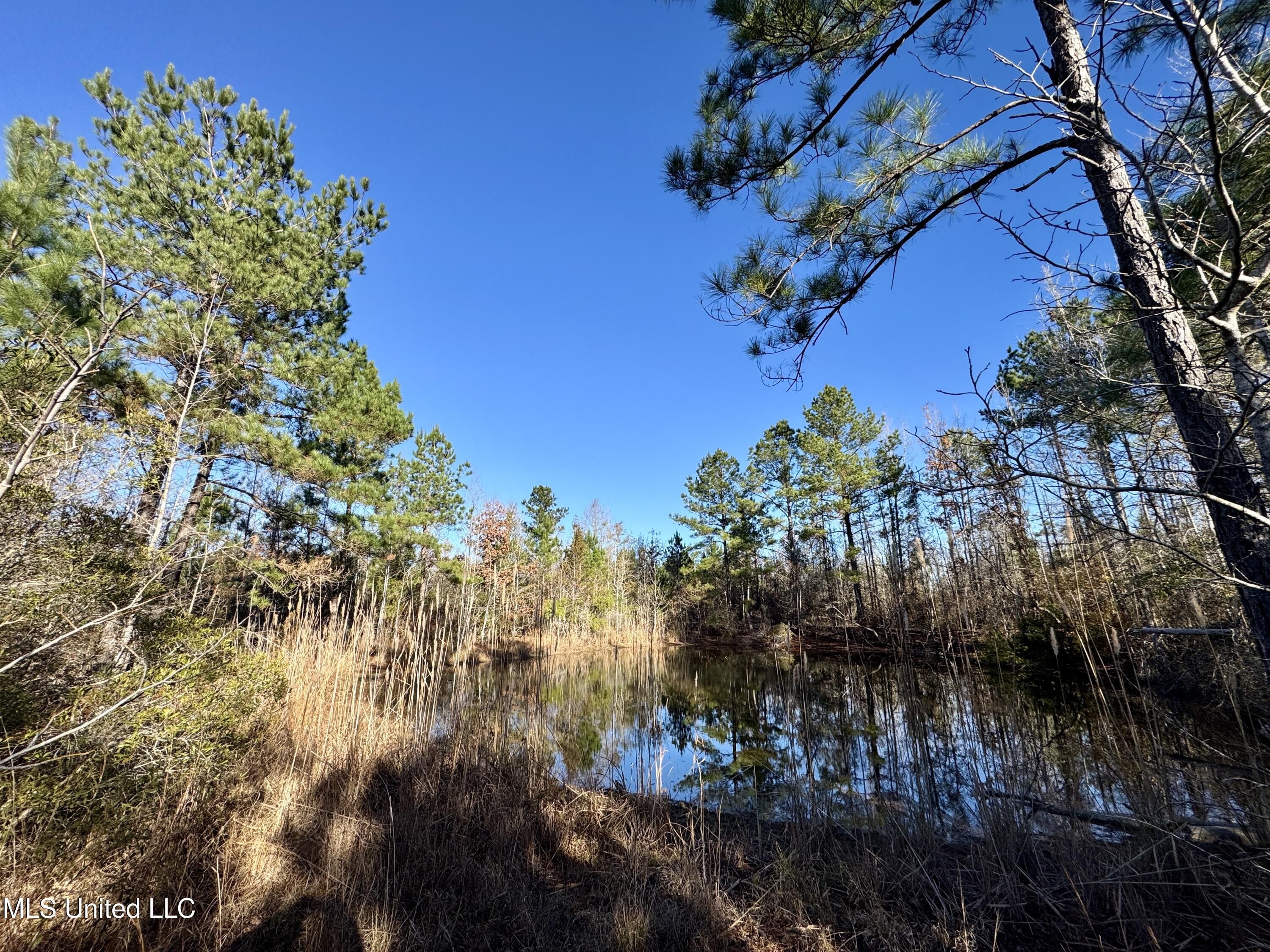 3005 Zetus Road Northwest Brookhaven, MS 39601 - Photo 15 of 21 10D4EC61-EA8D-4944-9027-6B2F4F7EF15F_1_2