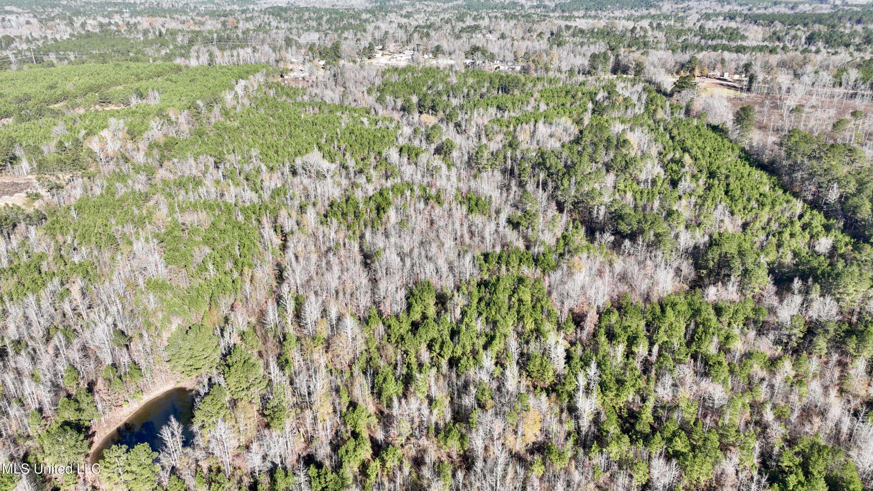 3005 Zetus Road Northwest Brookhaven, MS 39601 - Photo 16 of 21 64E08032-91AE-4EA9-91F5-37D8EF0D46B1_1_2