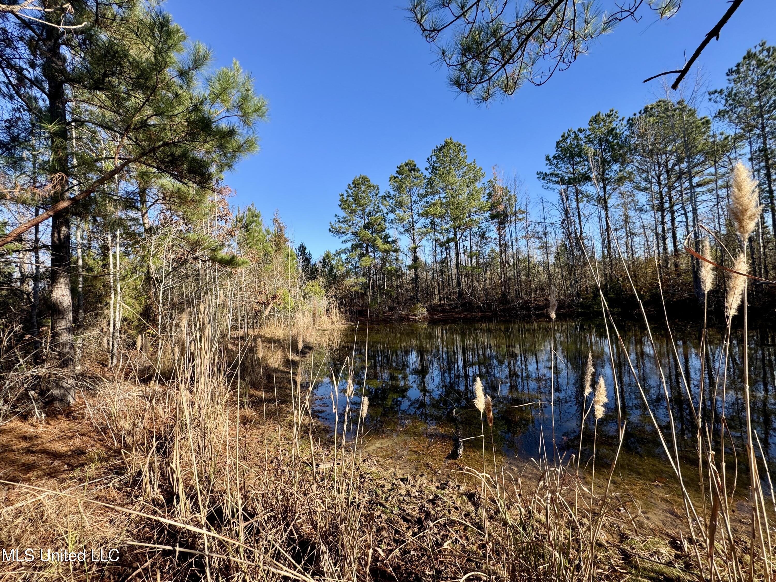 3005 Zetus Road Northwest Brookhaven, MS 39601 - Photo 17 of 21 5F26B8AF-18F2-46D5-9264-0EBF930A14ED_1_2