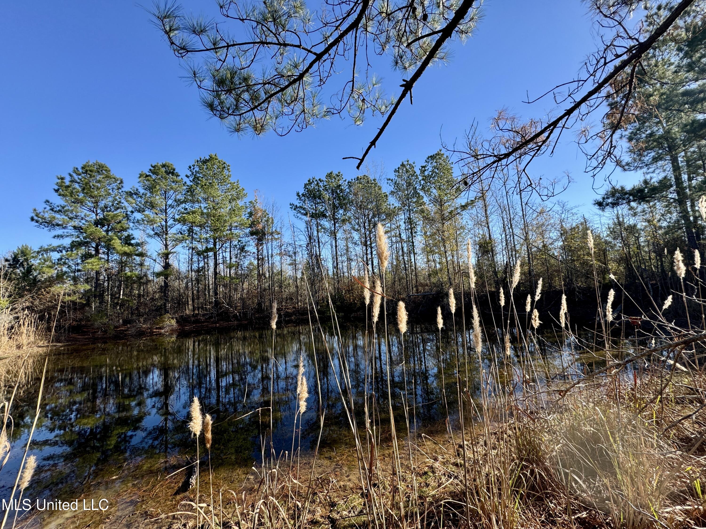 3005 Zetus Road Northwest Brookhaven, MS 39601 - Photo 19 of 21 23E3B36B-BCA6-497B-9948-C3063F6B5867_1_2