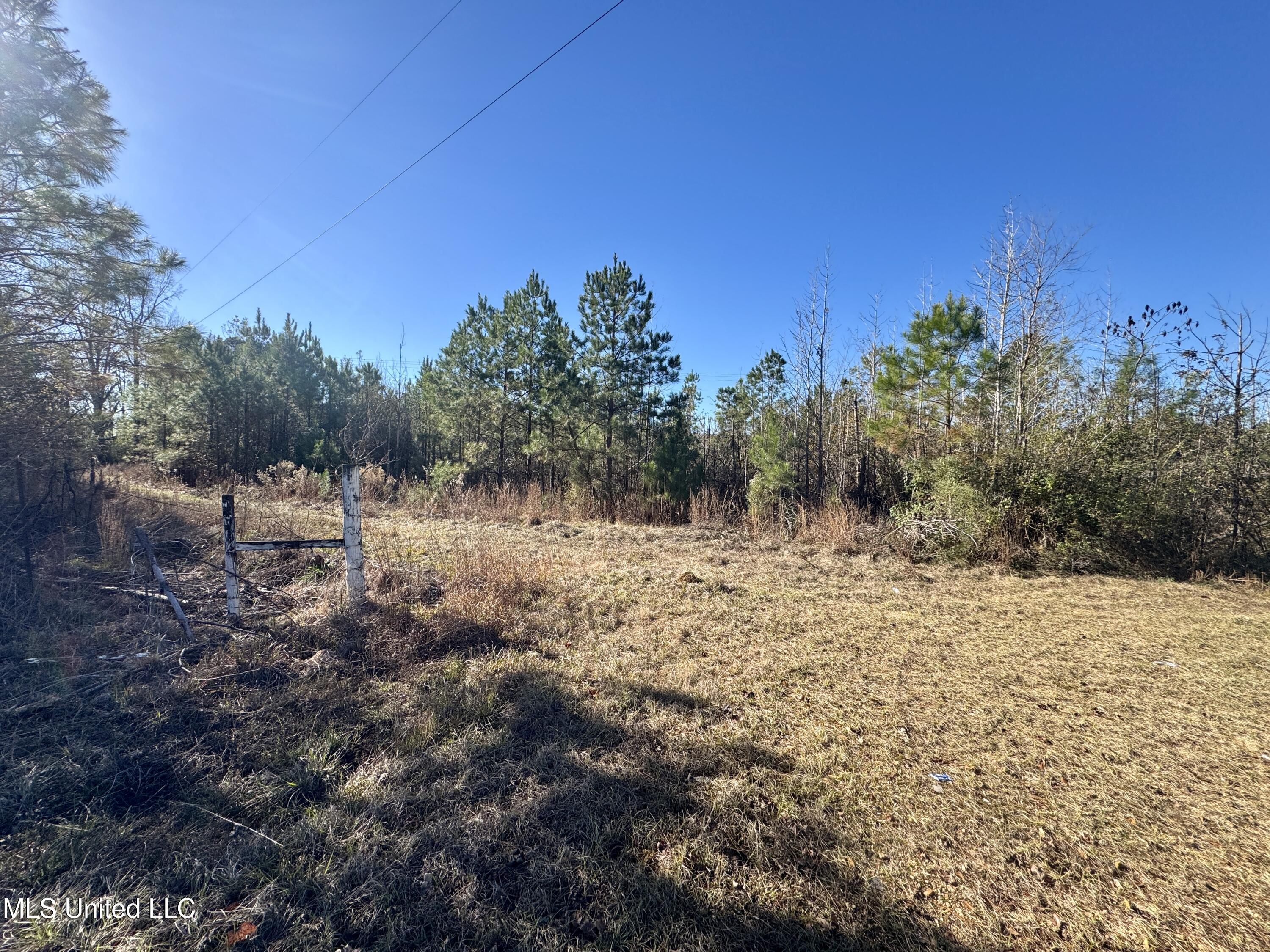 3005 Zetus Road Northwest Brookhaven, MS 39601 - Photo 4 of 21 E1B3FFE2-9E9E-4C91-9D04-5F4108F6C1F9_1_2