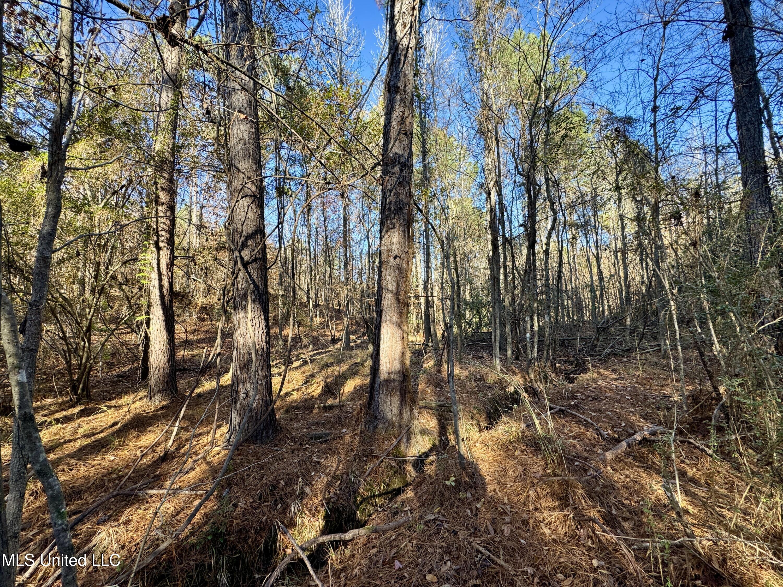 3005 Zetus Road Northwest Brookhaven, MS 39601 - Photo 6 of 21 6DBFE80B-DCFC-4EE6-A90A-8A43E42F4D6D_1_2