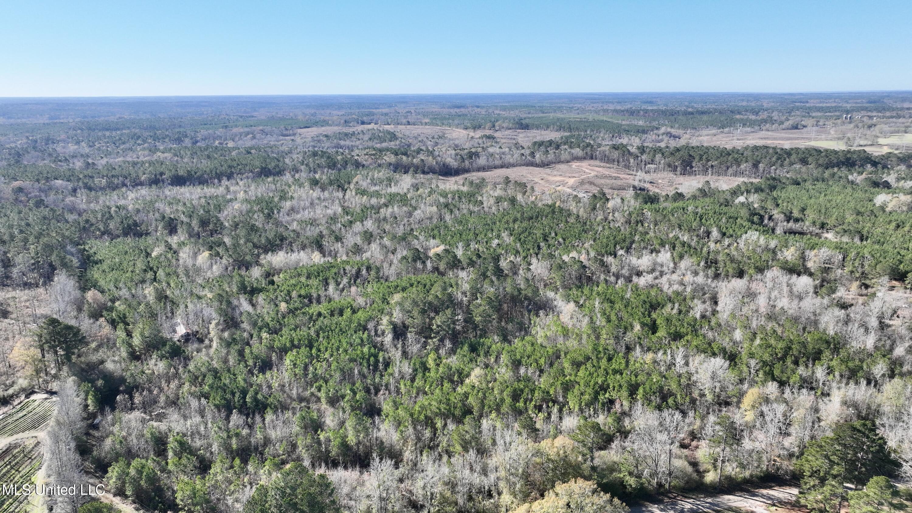 3005 Zetus Road Northwest Brookhaven, MS 39601 - Photo 7 of 21 D4068636-D6C8-4537-BE1B-862877E09F07_1_2