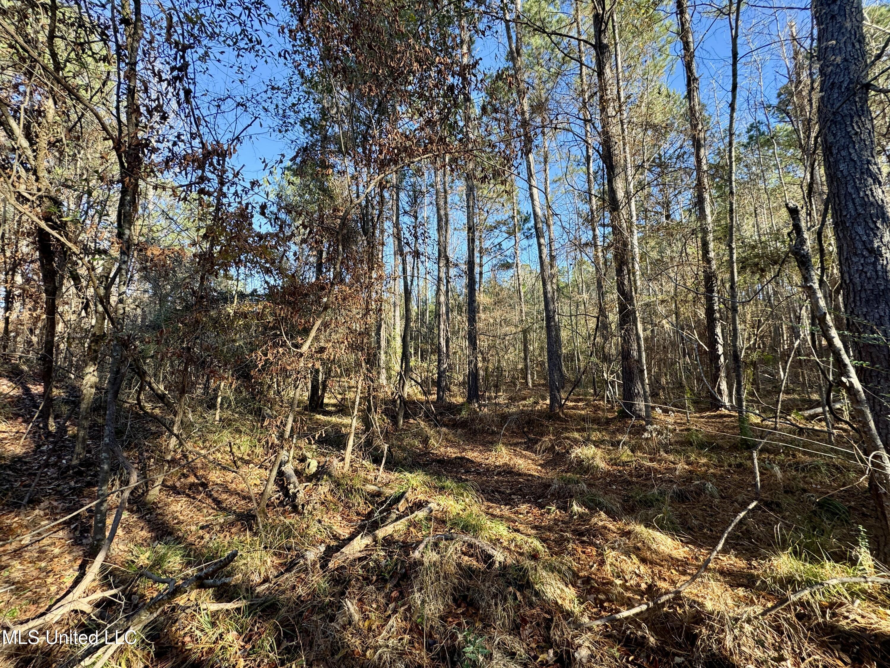 3005 Zetus Road Northwest Brookhaven, MS 39601 - Photo 8 of 21 6CF49249-4552-4EBA-BAE0-C1A8A61750DA_1_2