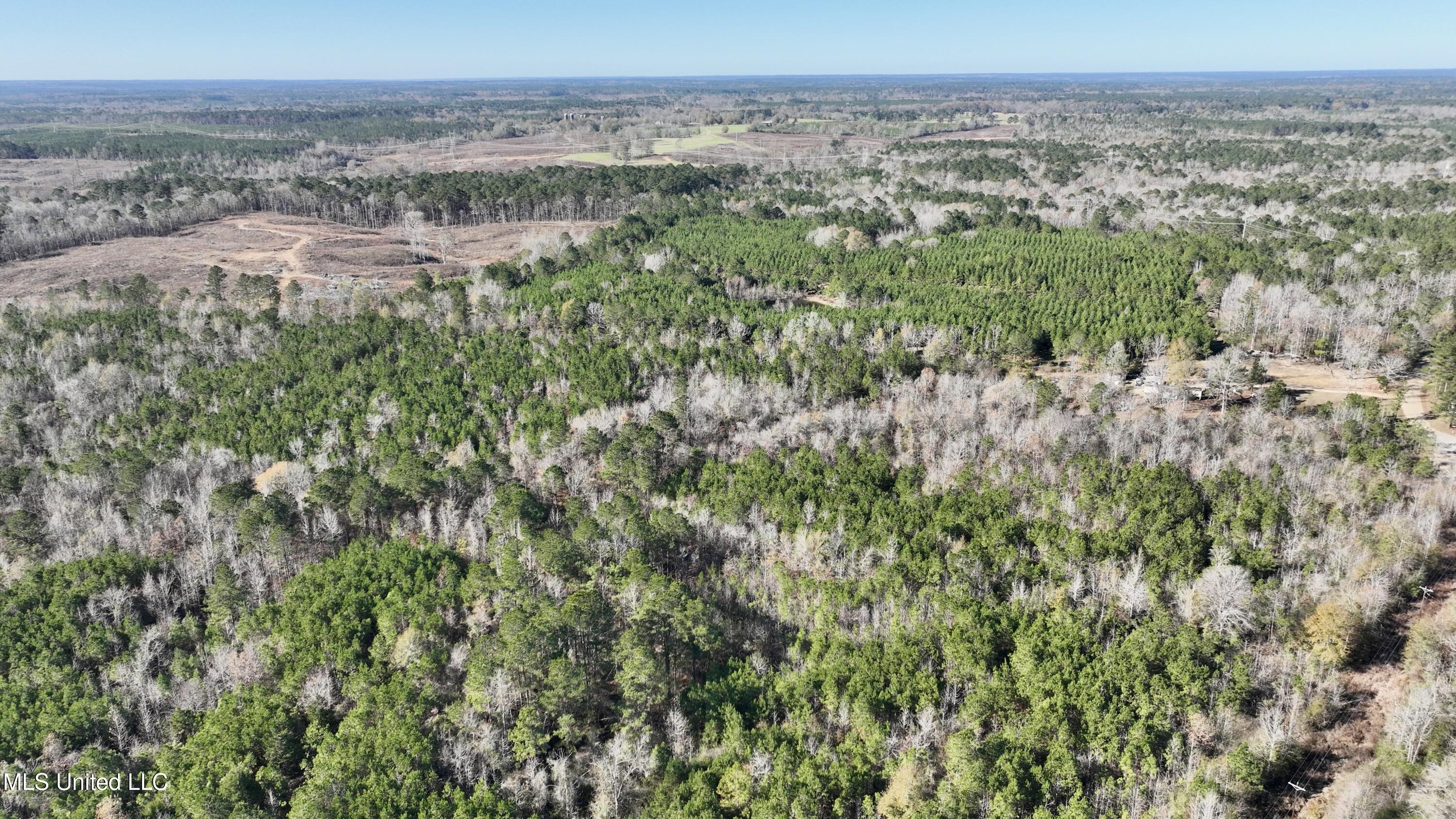 3005 Zetus Road Northwest Brookhaven, MS 39601 - Photo 9 of 21 48884150-5F56-4AD6-848E-EAA1A753EC43_1_2