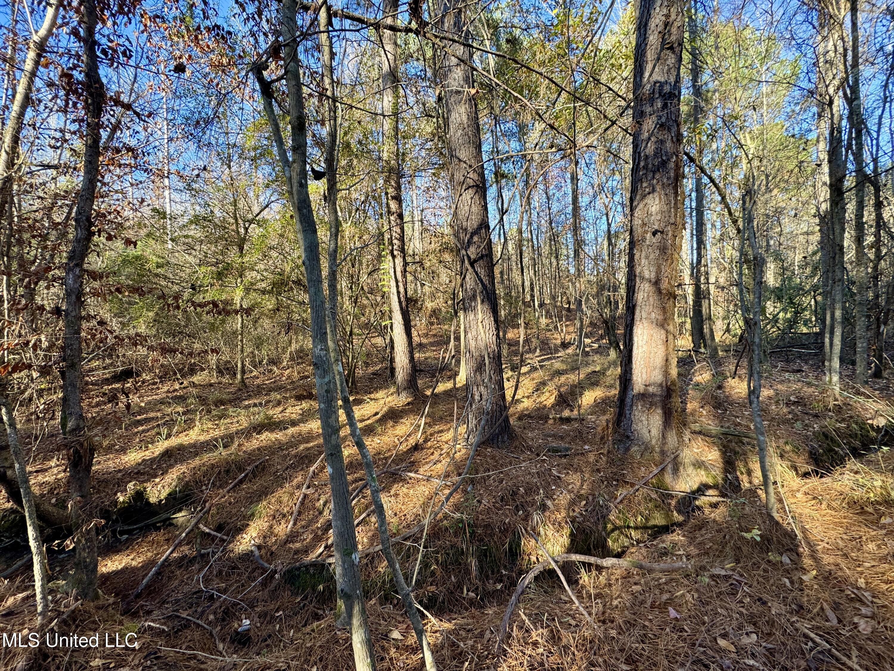 3005 Zetus Road Northwest Brookhaven, MS 39601 - Photo 10 of 21 6F8D4D95-C769-4188-B822-FD9C193415F4_1_2