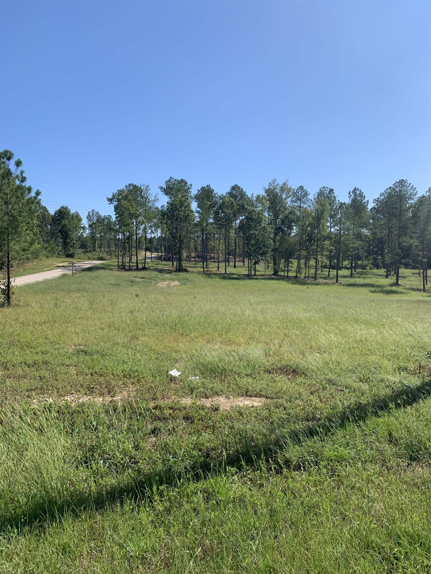 0 Dr Finch Road Henderson, NC 27537 - Photo 1 of 1 a view of a field with an trees