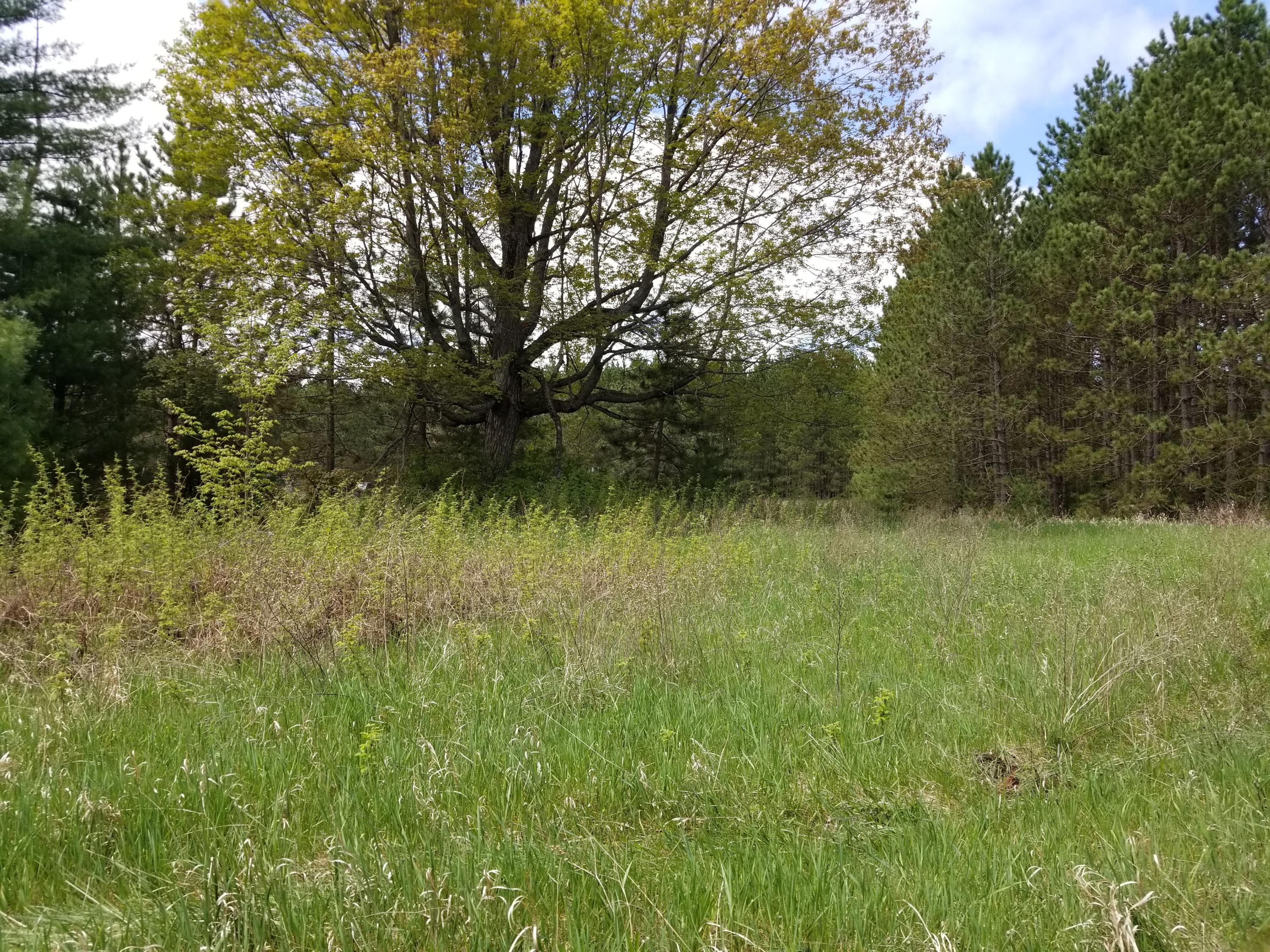 Galbraith Road Mio, MI 48647 - Photo 3 of 9 Gallery Image 3