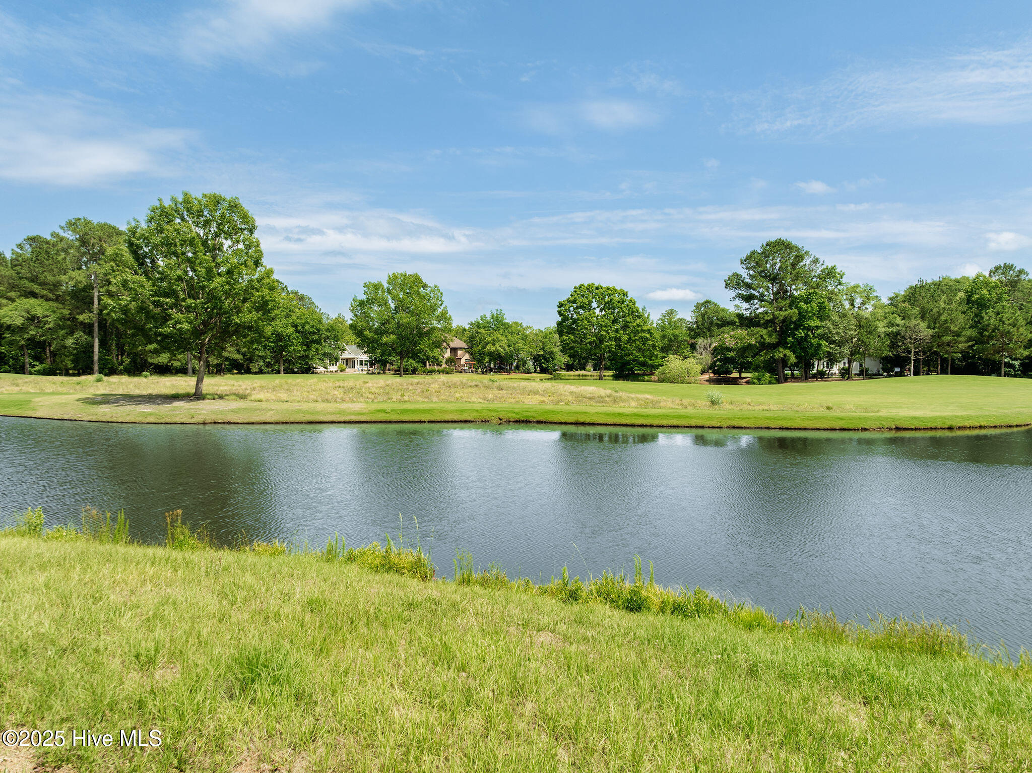 166 Falls Landing Way Wallace, NC 28466 - Photo 12 of 22 166fallslanding10