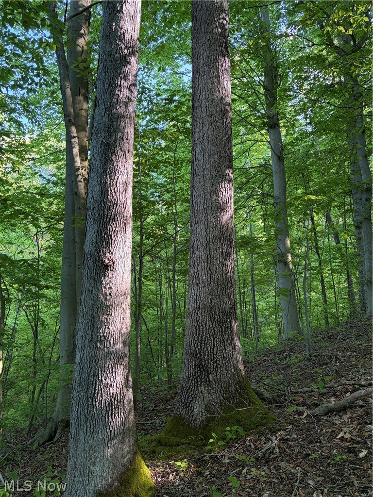 Crum Ridge Road Caldwell, OH 43724 - Photo 24 of 50