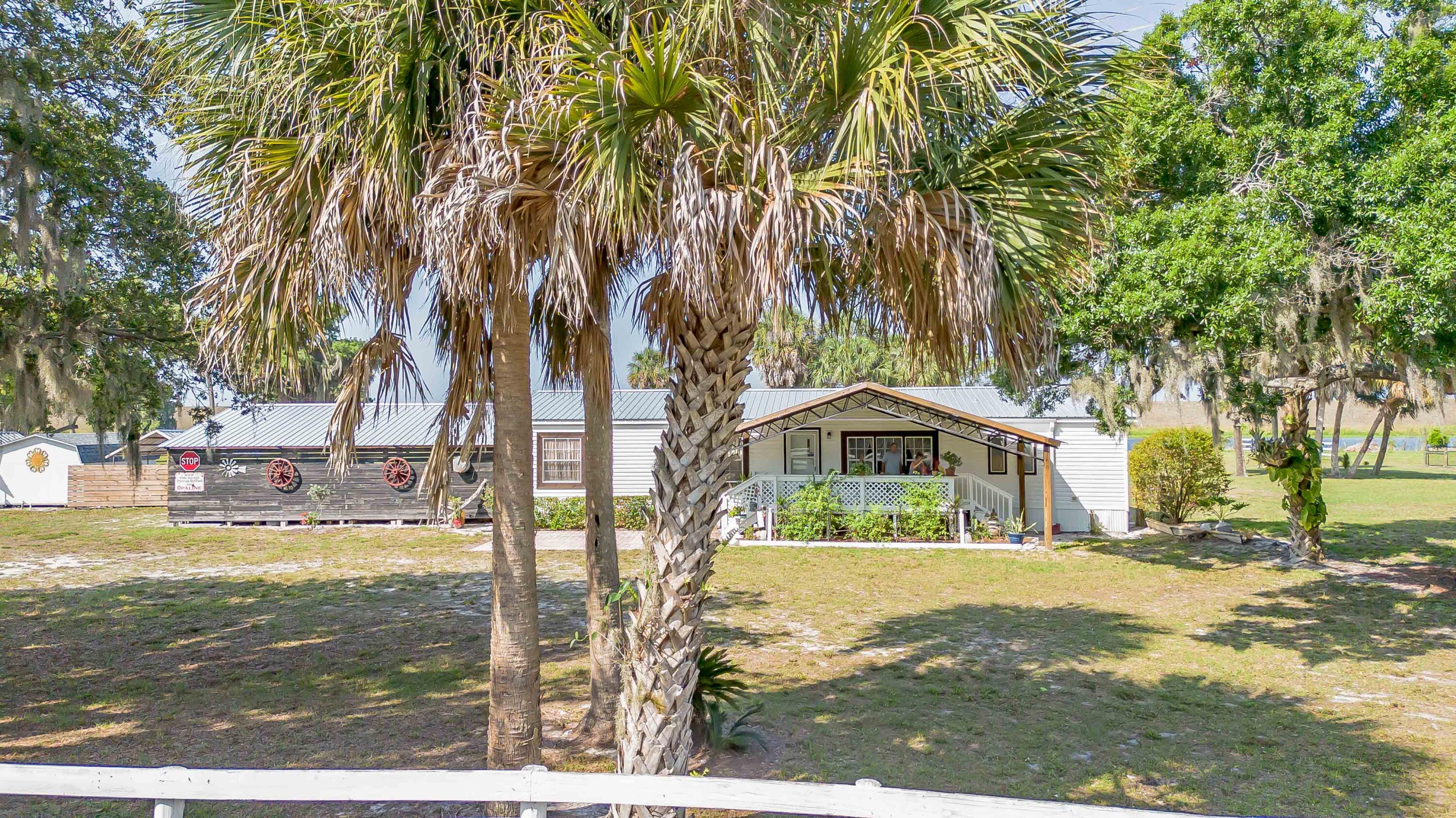 12302 Highway 441 Okeechobee, FL 34974 - Photo 61 of 63 a view of a yard with a tree