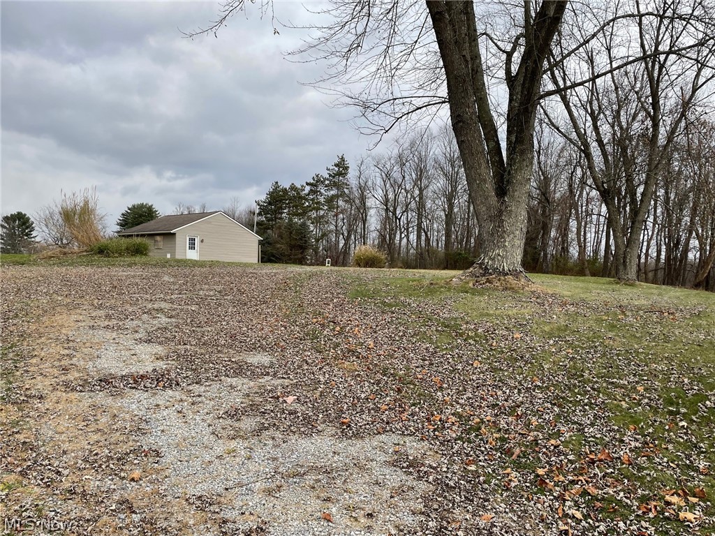 11485 Cadiz Road Cambridge, OH 43725 - Photo 3 of 8 West side drive