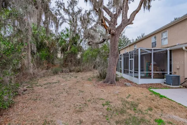 a view of a backyard with large trees and a small yard