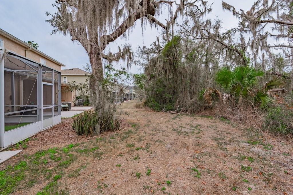 15856 Fishhawk View Drive Lithia, FL 33547 - Photo 24 of 31 a backyard of a house with lots of green space