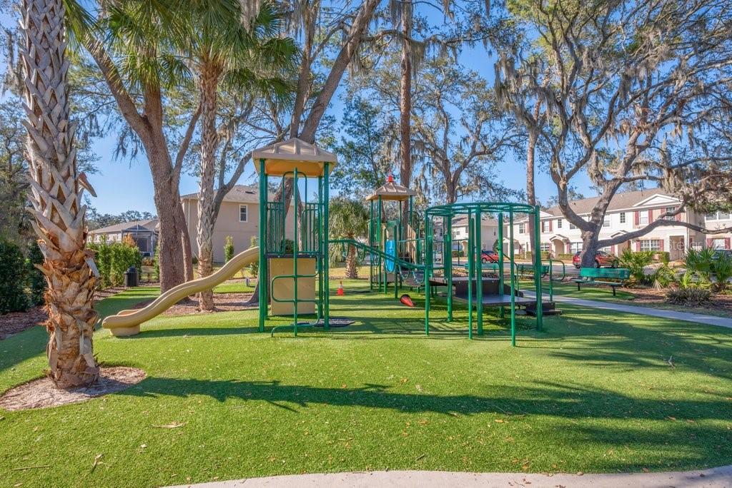 15856 Fishhawk View Drive Lithia, FL 33547 - Photo 25 of 31 a view of a park with large trees