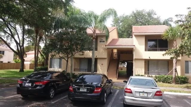 a view of a park with large trees