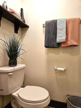 a white toilet sitting next to a shower curtain