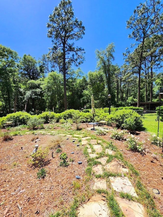 3240 Chaserville Road Nashville, GA 31639 - Photo 68 of 70 Gallery Image 68