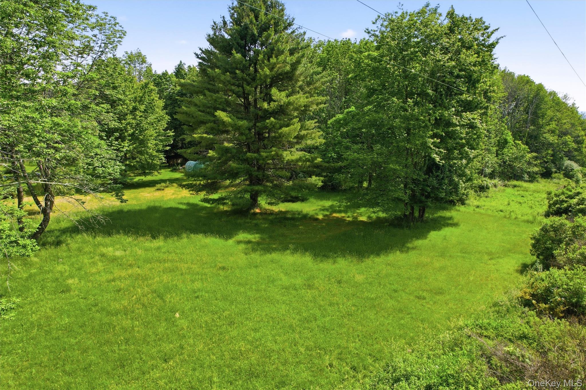 Tbd Britman Road Bethel, NY 12720 - Photo 2 of 16