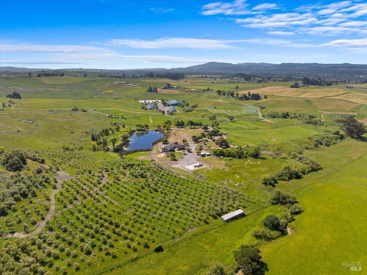2315 Mountain Ranch Road Petaluma, CA 94954 - Photo 84 of 89