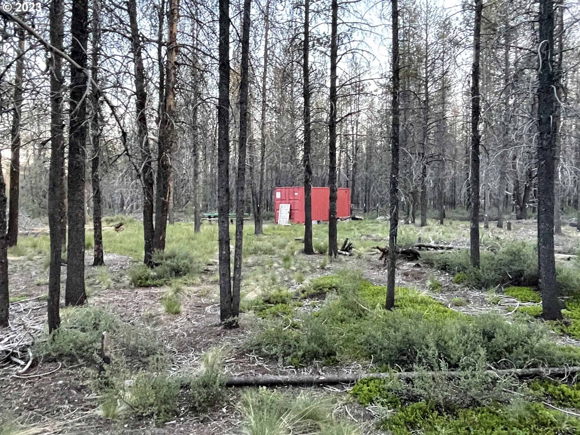 Priday Loop, Unit 23 Chiloquin, OR 97624 - Photo 11 of 21 a flag is covered with tall trees
