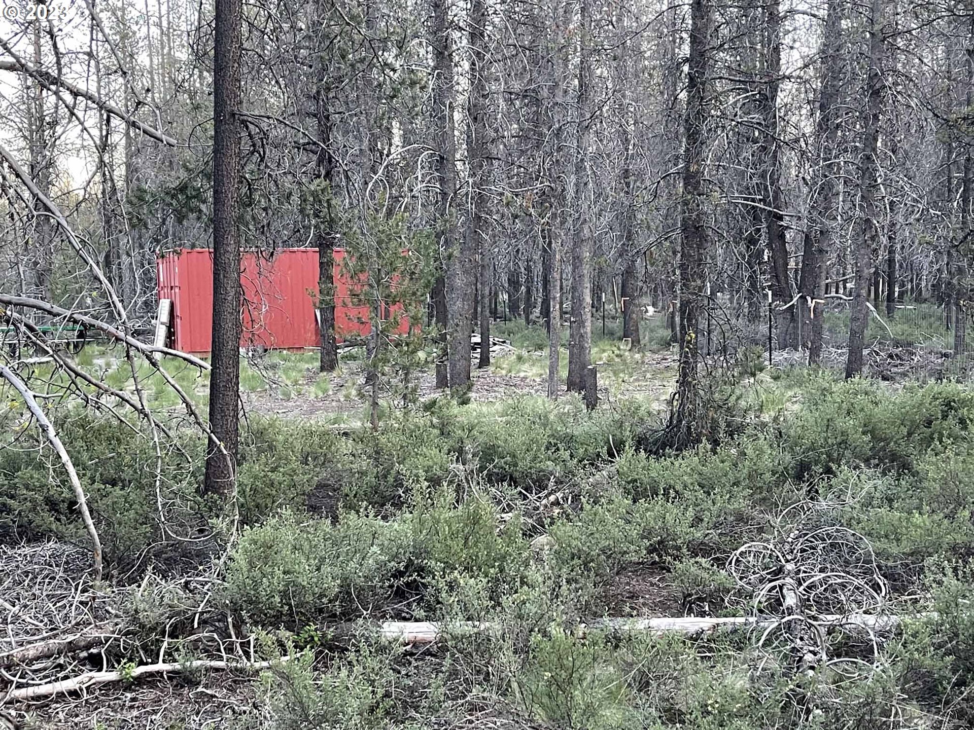 Priday Loop, Unit 23 Chiloquin, OR 97624 - Photo 15 of 21 a flag is sitting in the middle of forest