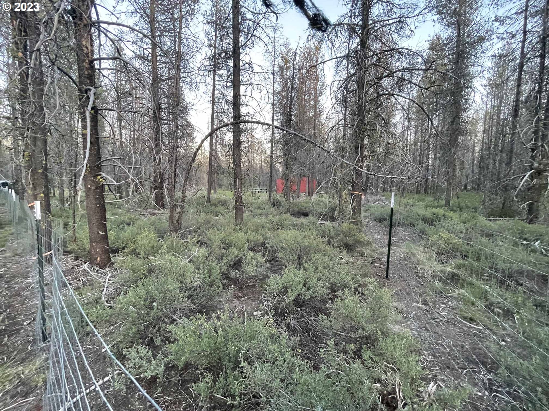 Priday Loop, Unit 23 Chiloquin, OR 97624 - Photo 21 of 21 a view of a forest