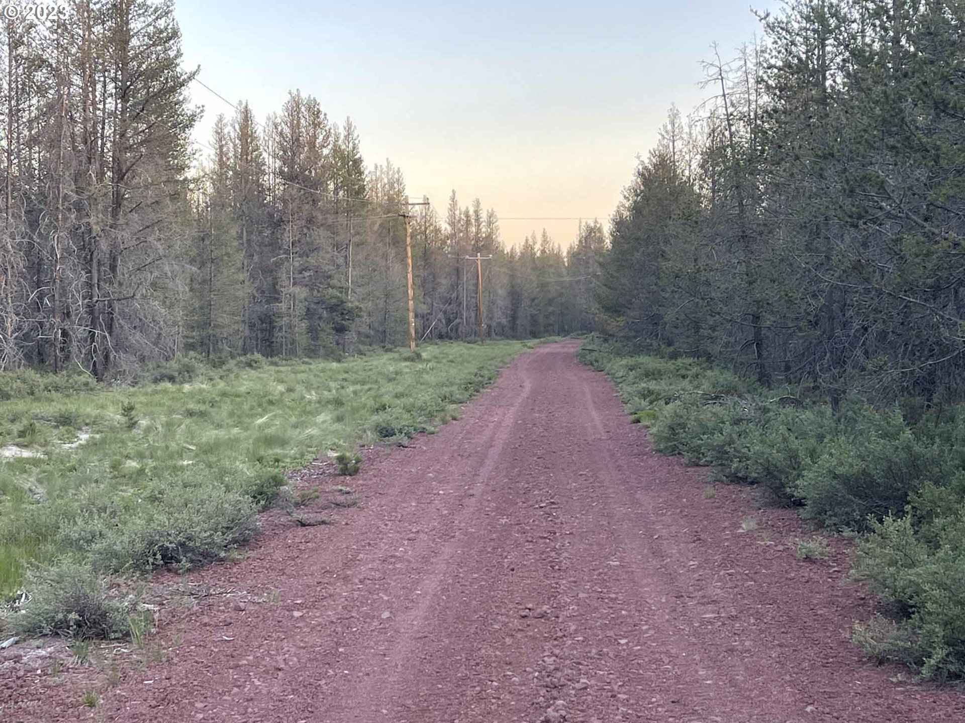 Priday Loop, Unit 23 Chiloquin, OR 97624 - Photo 6 of 21 a big yard with lots of green space and deers