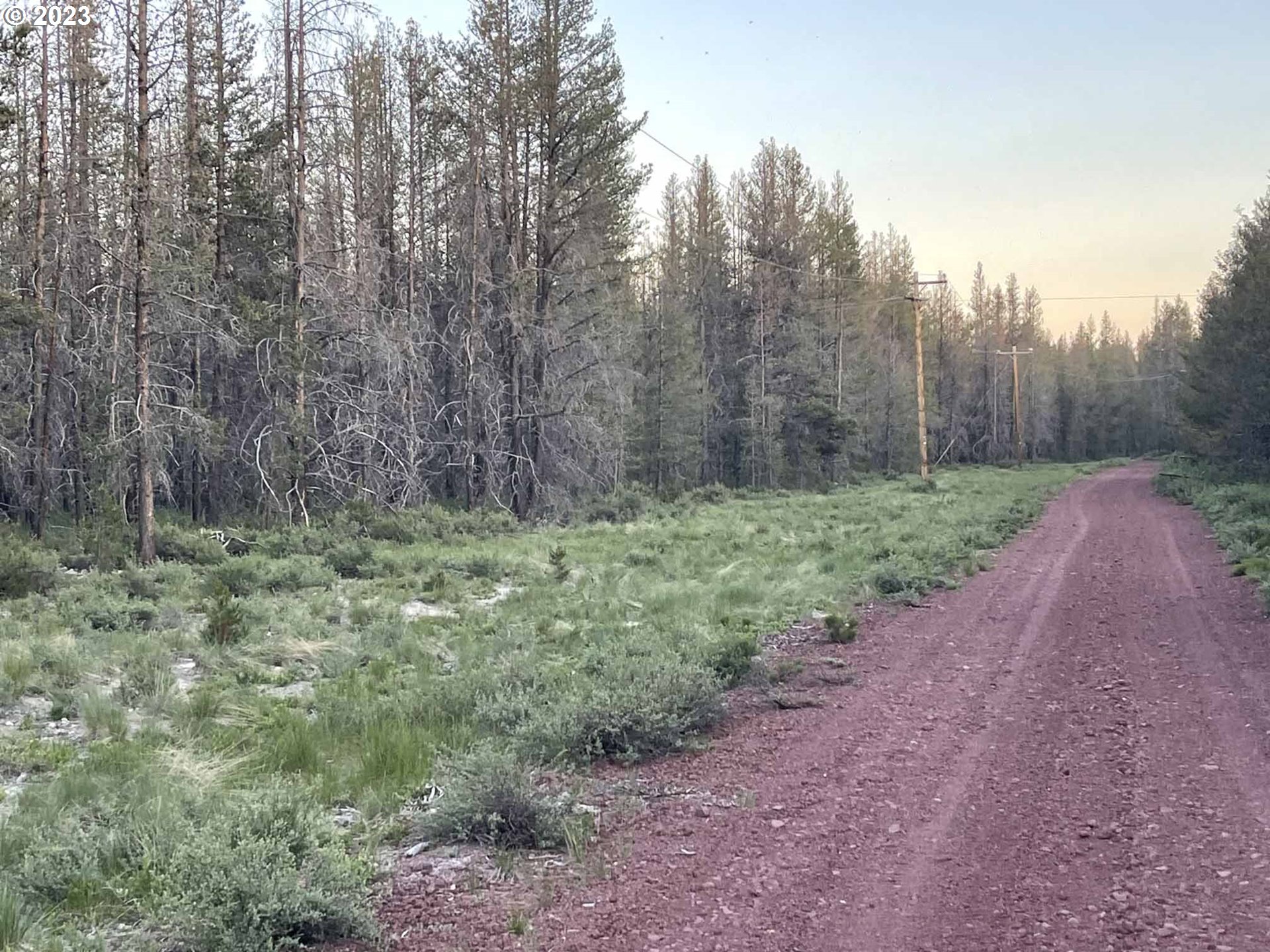 Priday Loop, Unit 23 Chiloquin, OR 97624 - Photo 7 of 21 a view of a yard with trees in the background