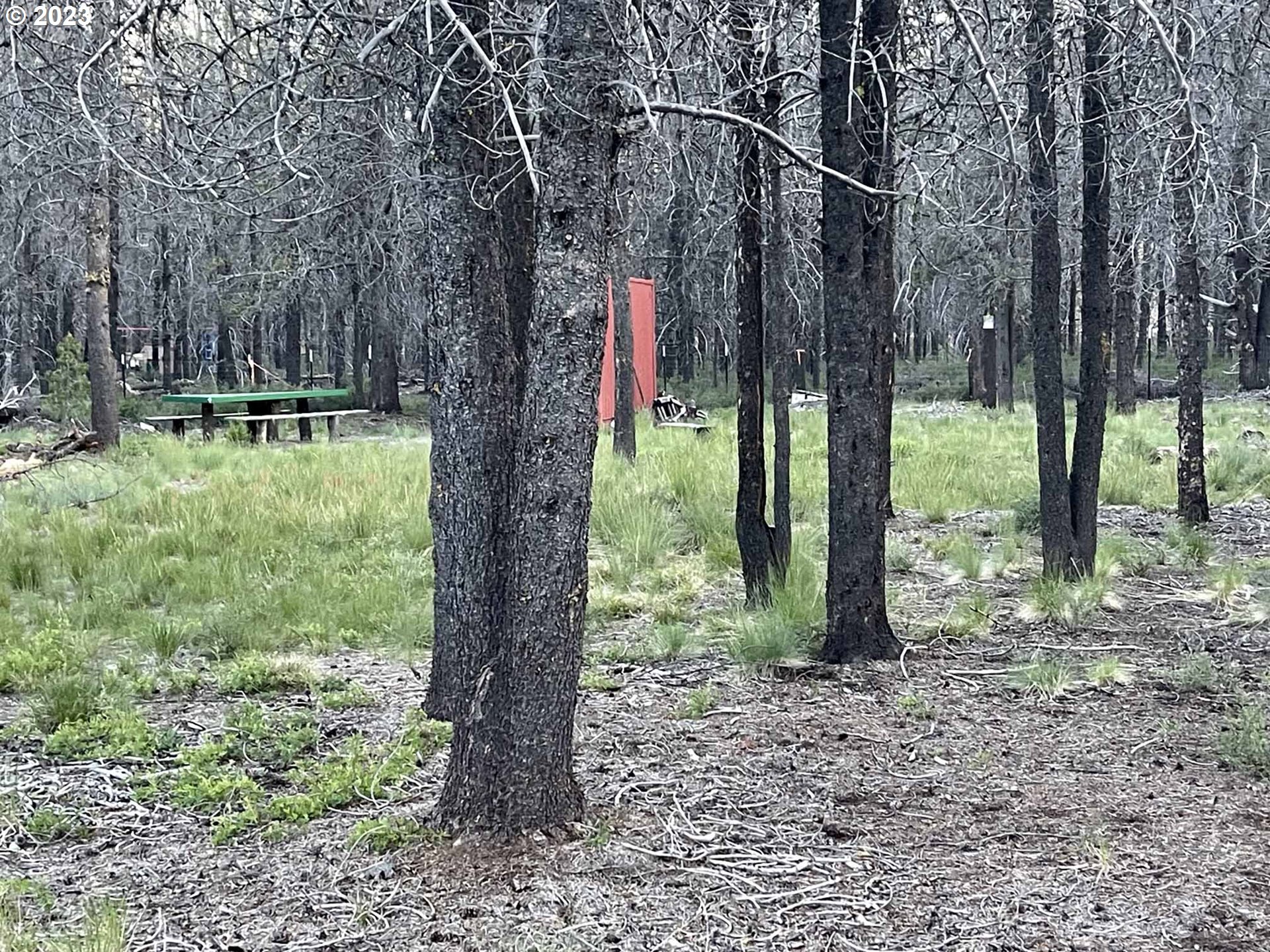 Priday Loop, Unit 23 Chiloquin, OR 97624 - Photo 9 of 21 a view of a yard with a tree