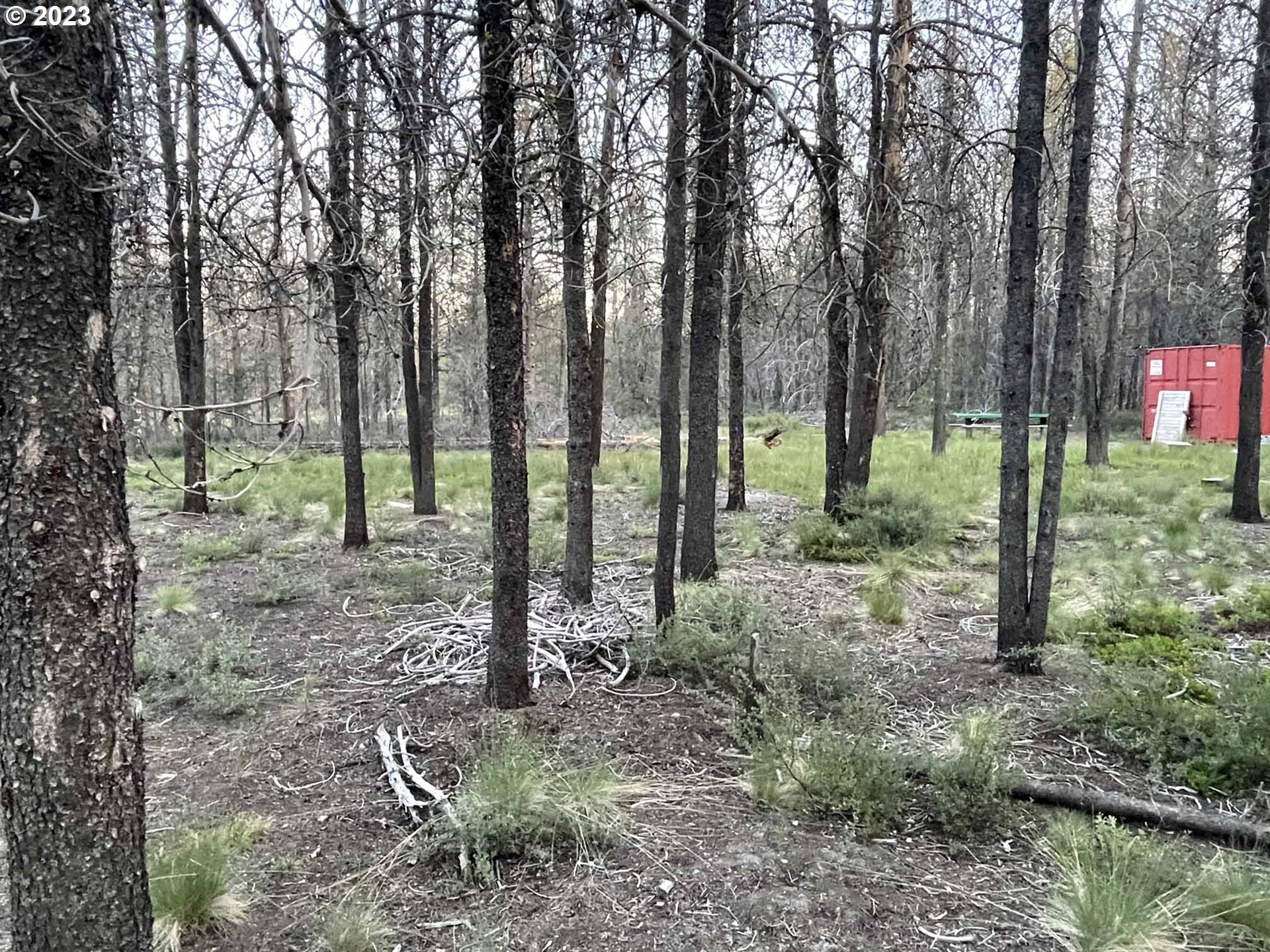 Priday Loop, Unit 23 Chiloquin, OR 97624 - Photo 10 of 21 a backyard of a house with lots of green space