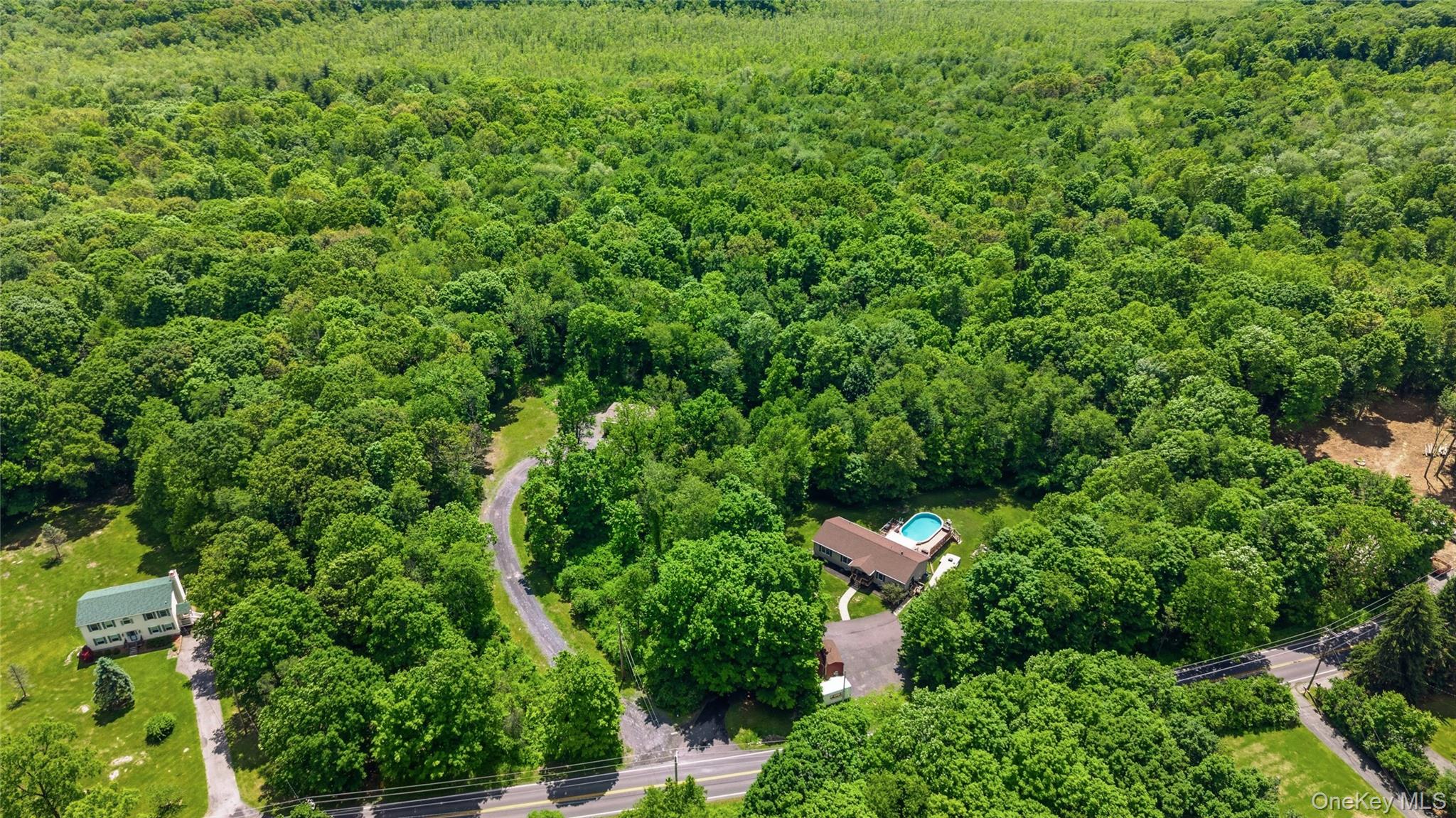 239-241 Fosler Road Highland, NY 12528 - Photo 2 of 42 Expansive wooded acreage featuring a main residence with an in-ground swimming pool, a secondary structure with a green metal roof, a paved driveway, and mature trees