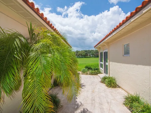 a view of a garden with plants