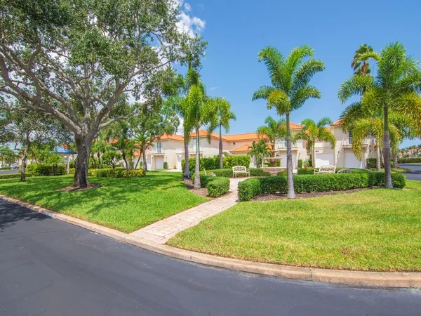 a view of a backyard with palm trees