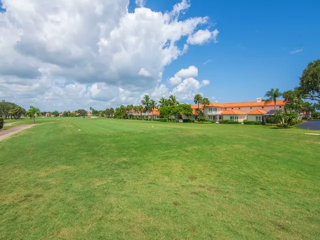 a view of a big yard