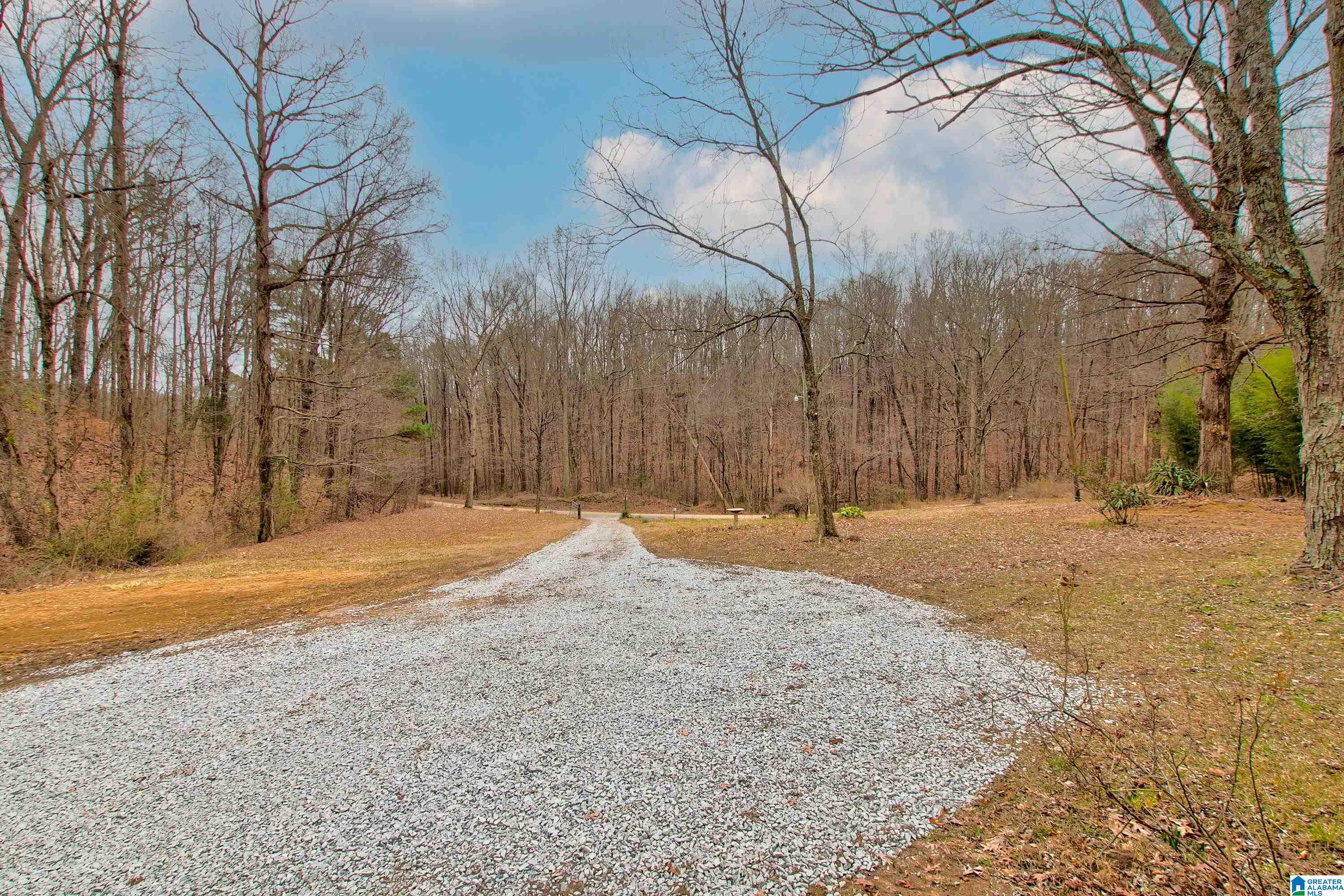 1919 Johns Road Blountsville, AL 35031 - Photo 14 of 28