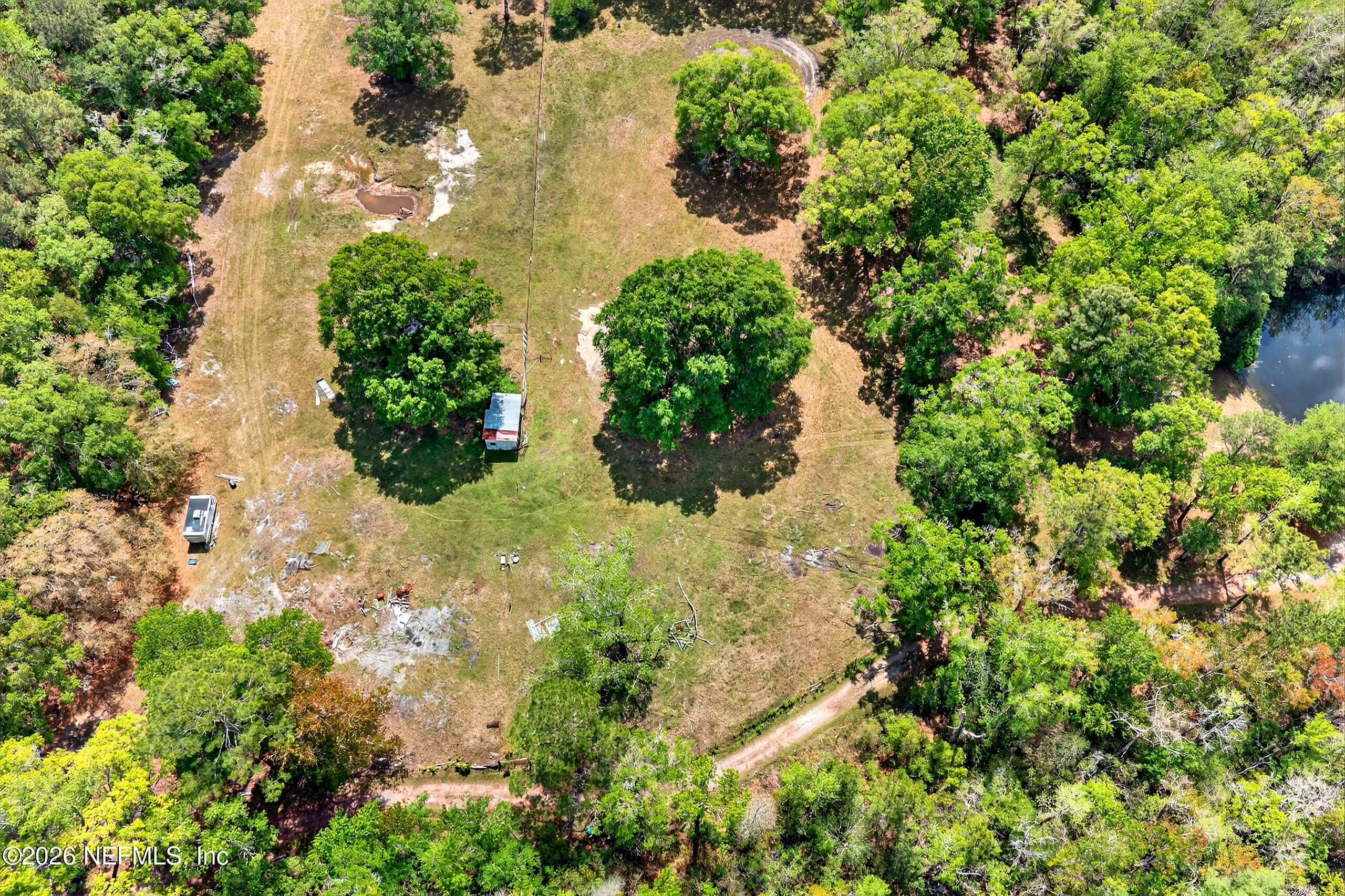 43122 Pineridge Drive Callahan, FL 32011 - Photo 31 of 46 a view of a garden with plants