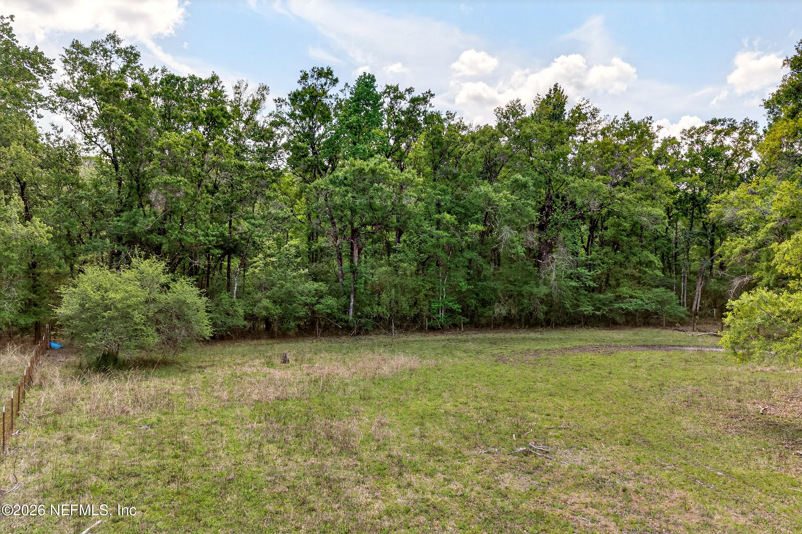 43122 Pineridge Drive Callahan, FL 32011 - Photo 38 of 46 a view of a green field with lots of bushes