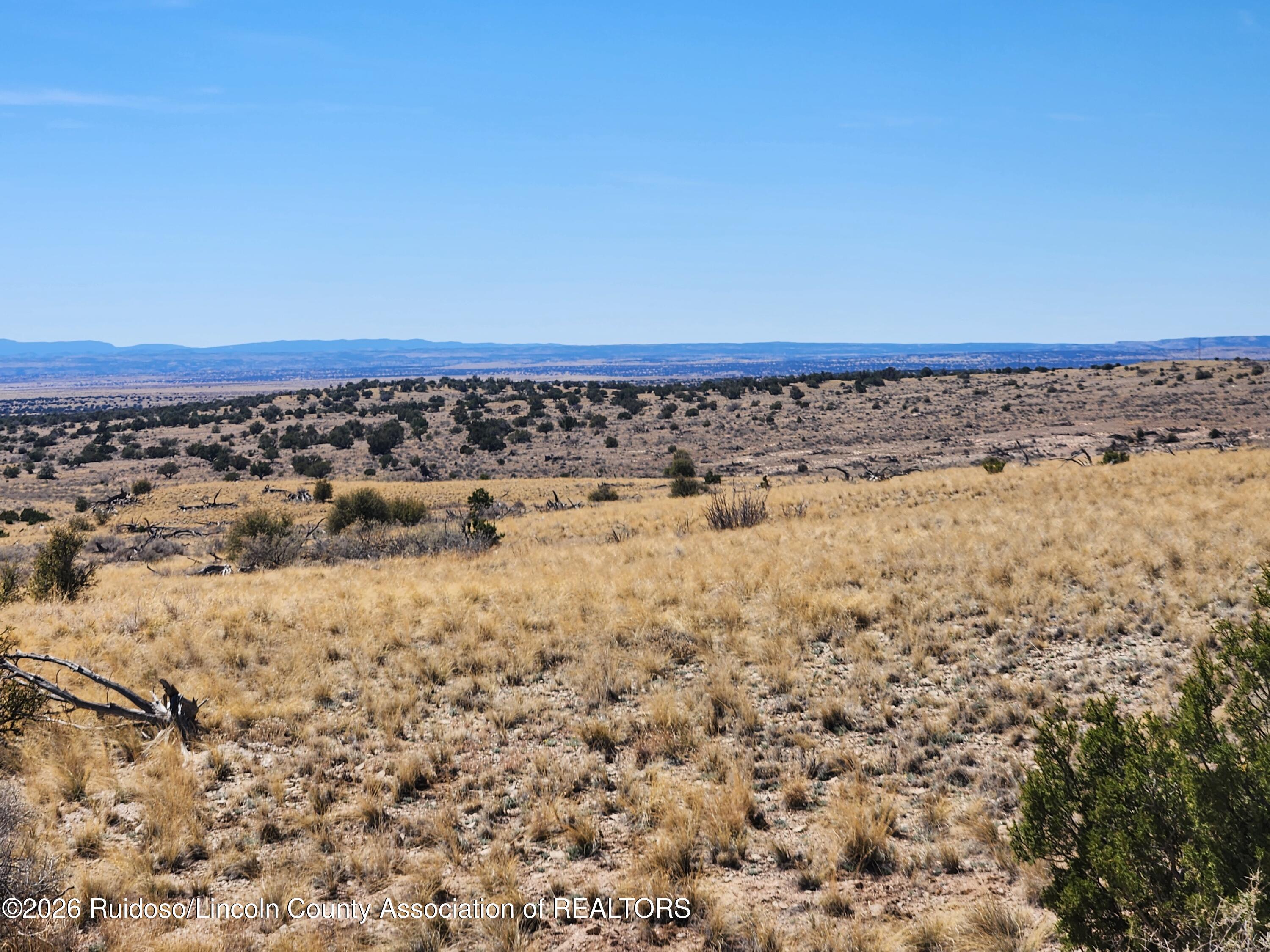 L135 Rnch Vw Loop Carrizozo, NM 88301 - Photo 10 of 15 Gallery Image 10