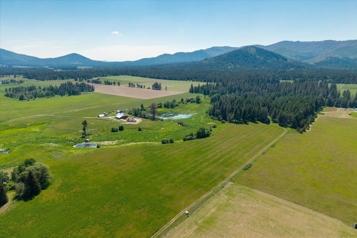 4668 Williams Valley Road Clayton, WA 99110 - Photo 3 of 44