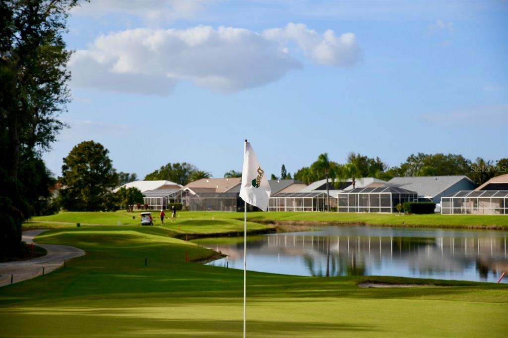 6505 Stone River Road, Unit 202 Bradenton, FL 34203 - Photo 37 of 55 a view of swimming pool with yard