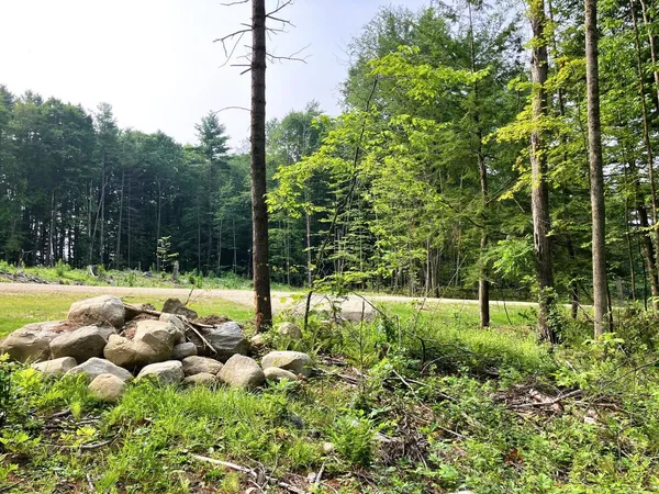 $145,000 | Lot 5 Fern Lake Road, Leicester, VT 05733