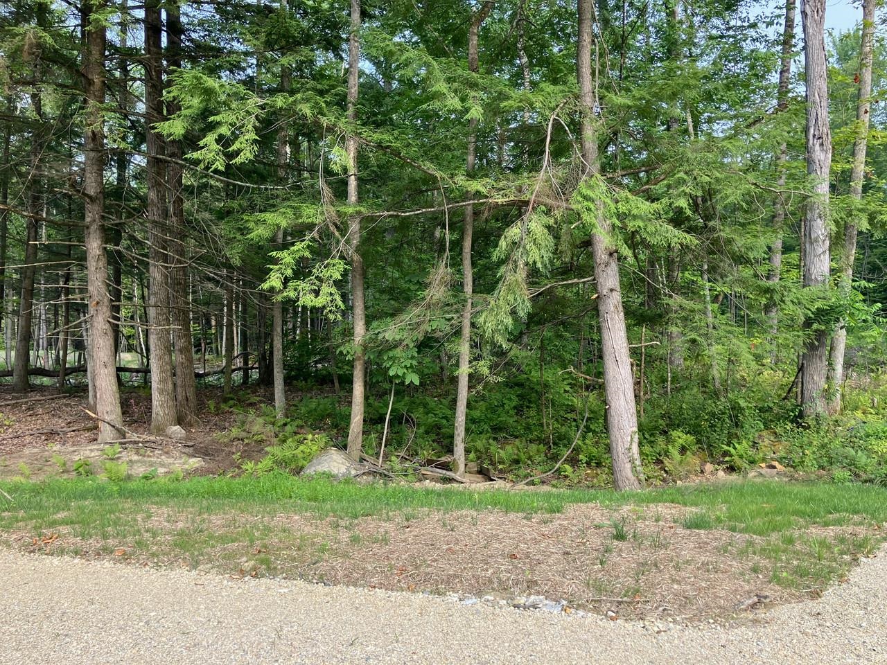 Lot 5 Fern Lake Road Leicester, VT 05733 - Photo 3 of 19