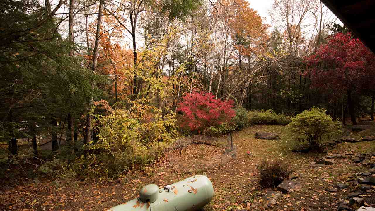 21 Rim Road Danville, NH 03819 - Photo 4 of 22 Gallery Image 4