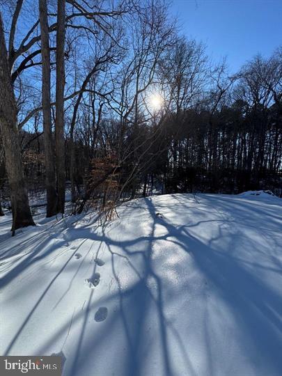 144 Pratts Branch Road Felton, DE 19943 - Photo 8 of 39 Sunlit winter landscape with shadowed trails.