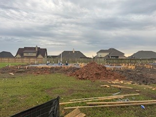 1593 Elm Place Angleton, TX 77515 - Photo 2 of 31 a view of ocean view with large trees