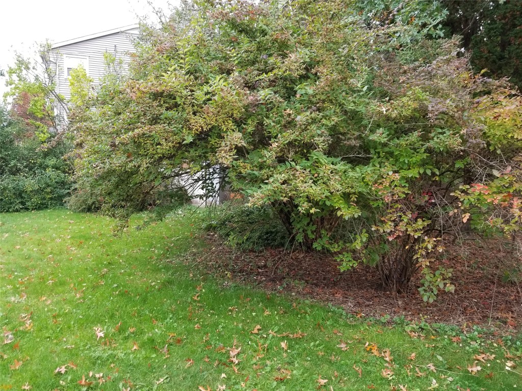 105 Mcfall Road Apalachin, NY 13732 - Photo 20 of 22 Gallery Image 20
