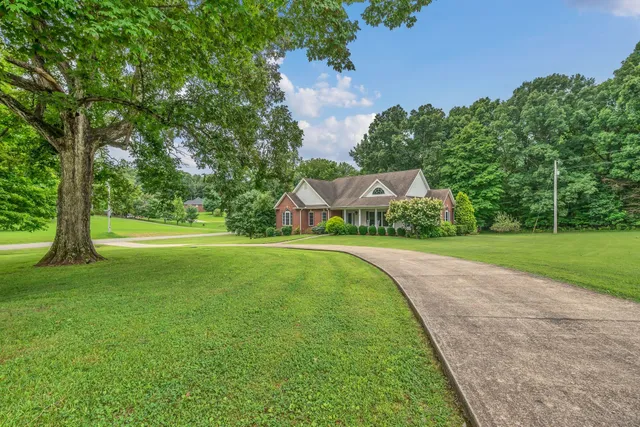 a view of a park with large trees