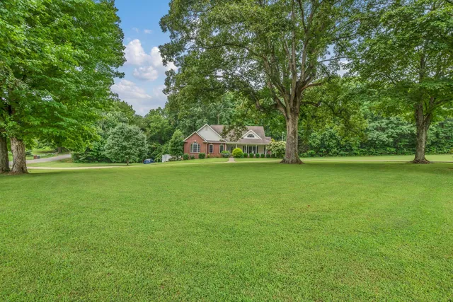 a view of a field of grass and trees
